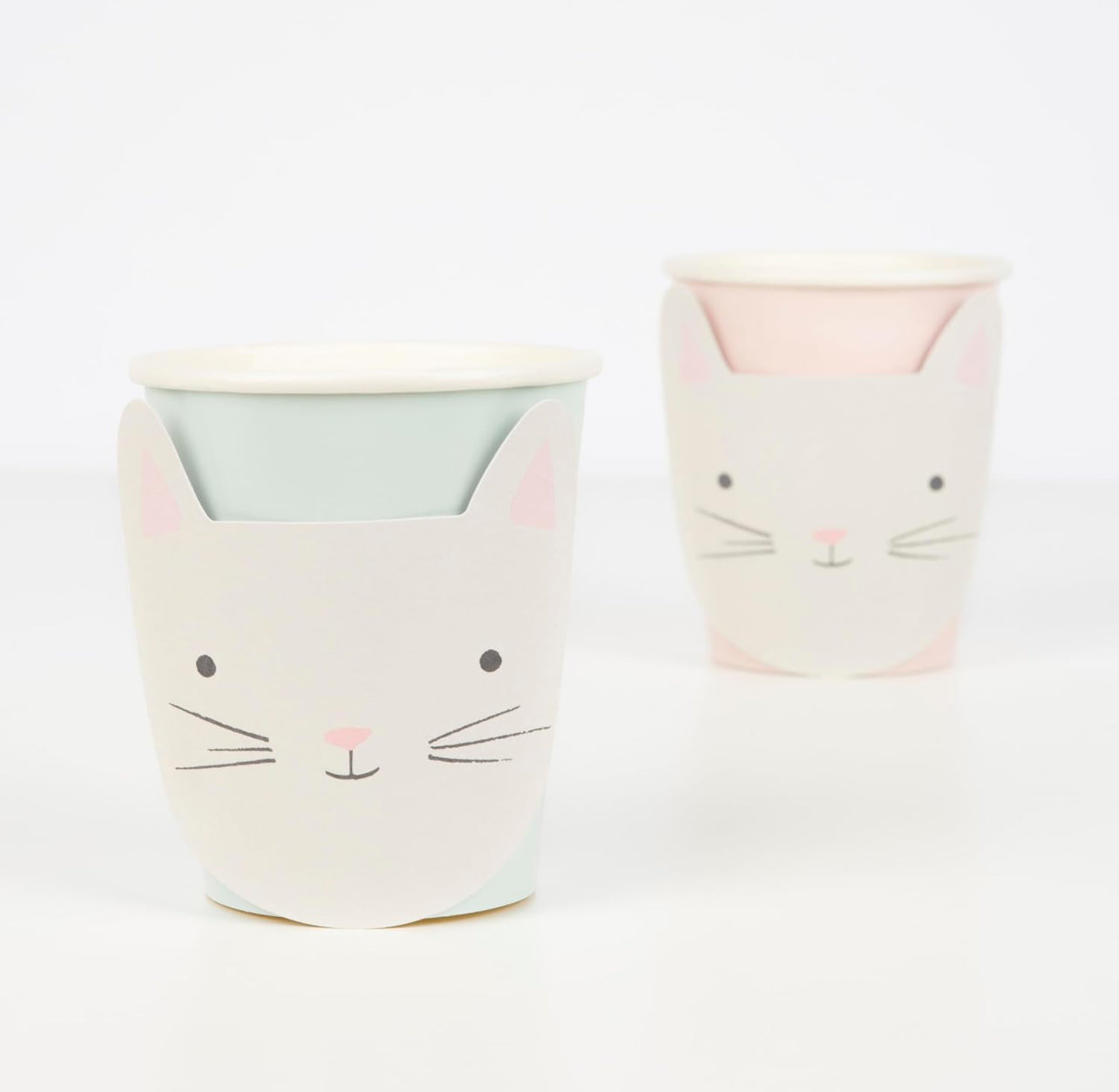 Verres chat