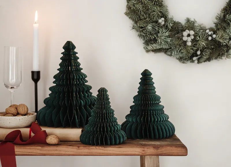 Sapin moyen 20cm