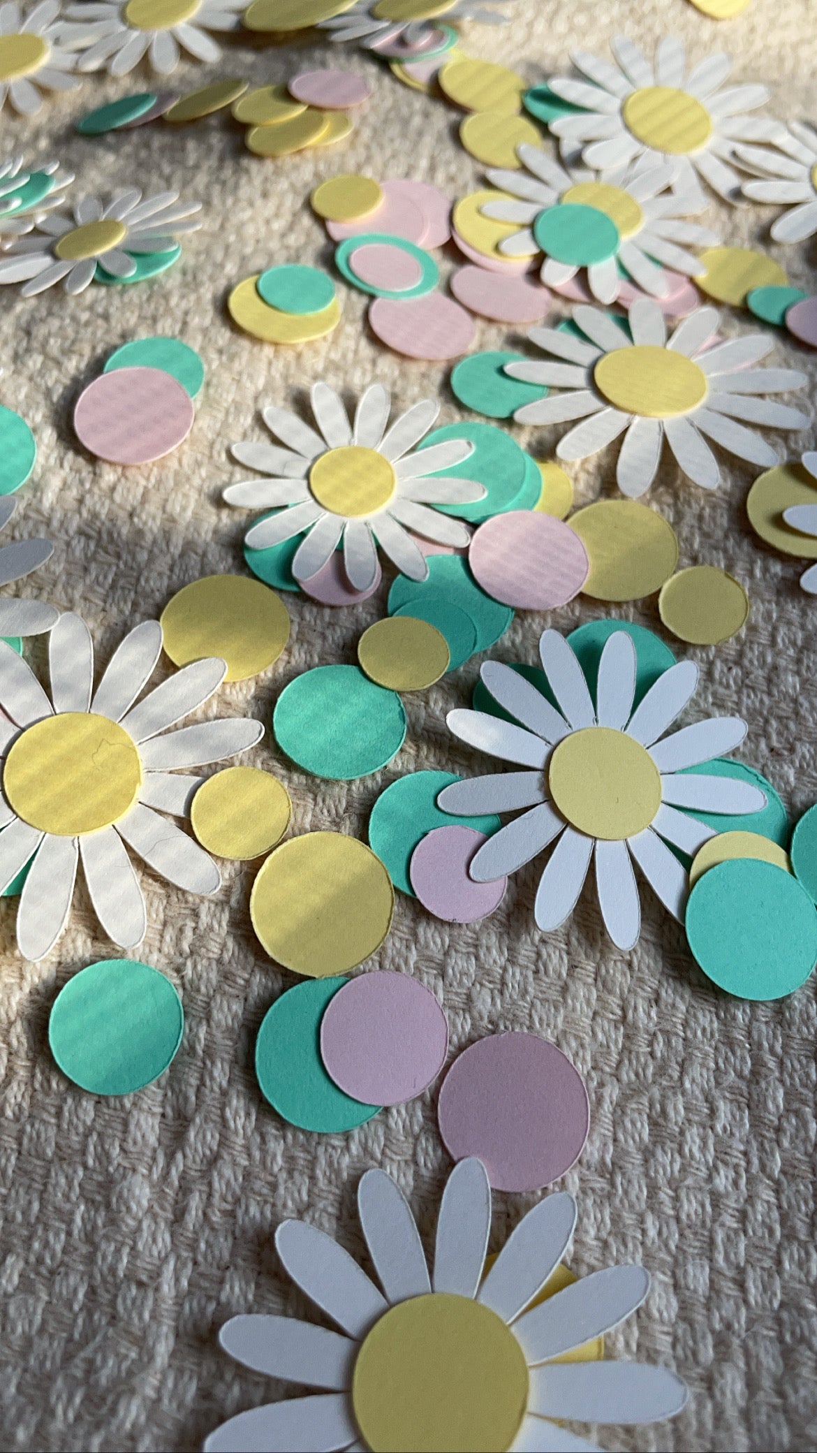 Confettis marguerites 2 options