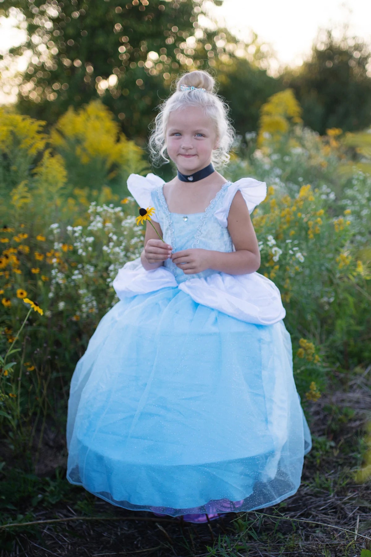 Robe de cendrillon deluxe