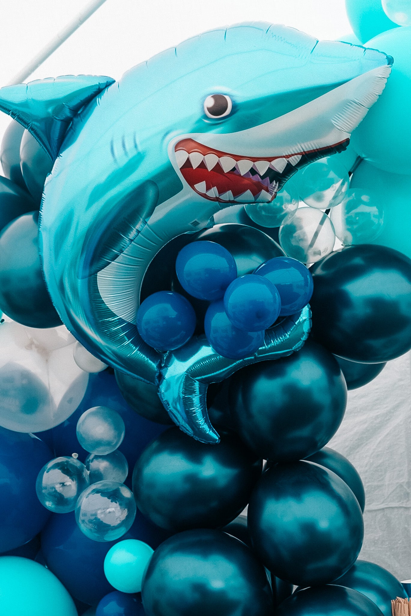 36" shark