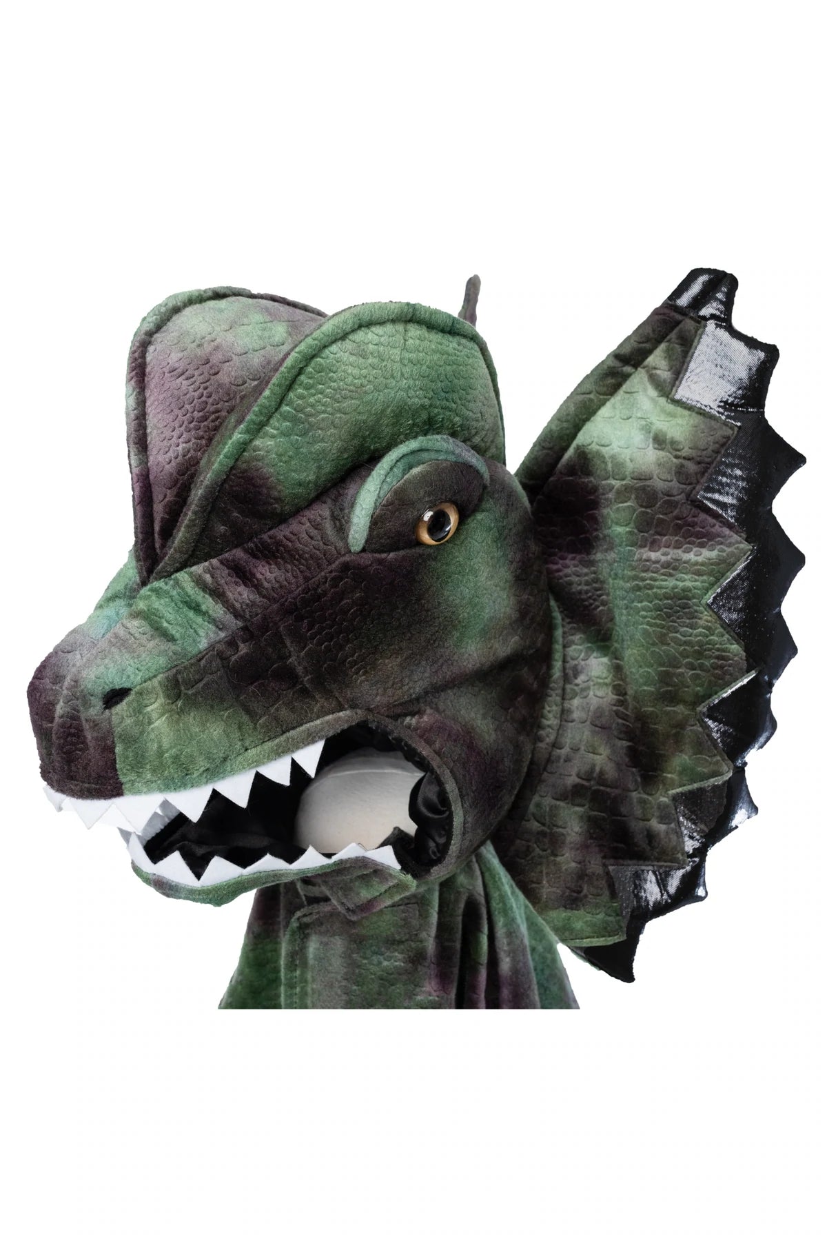Cape dinosaure dilophosaure avec griffes