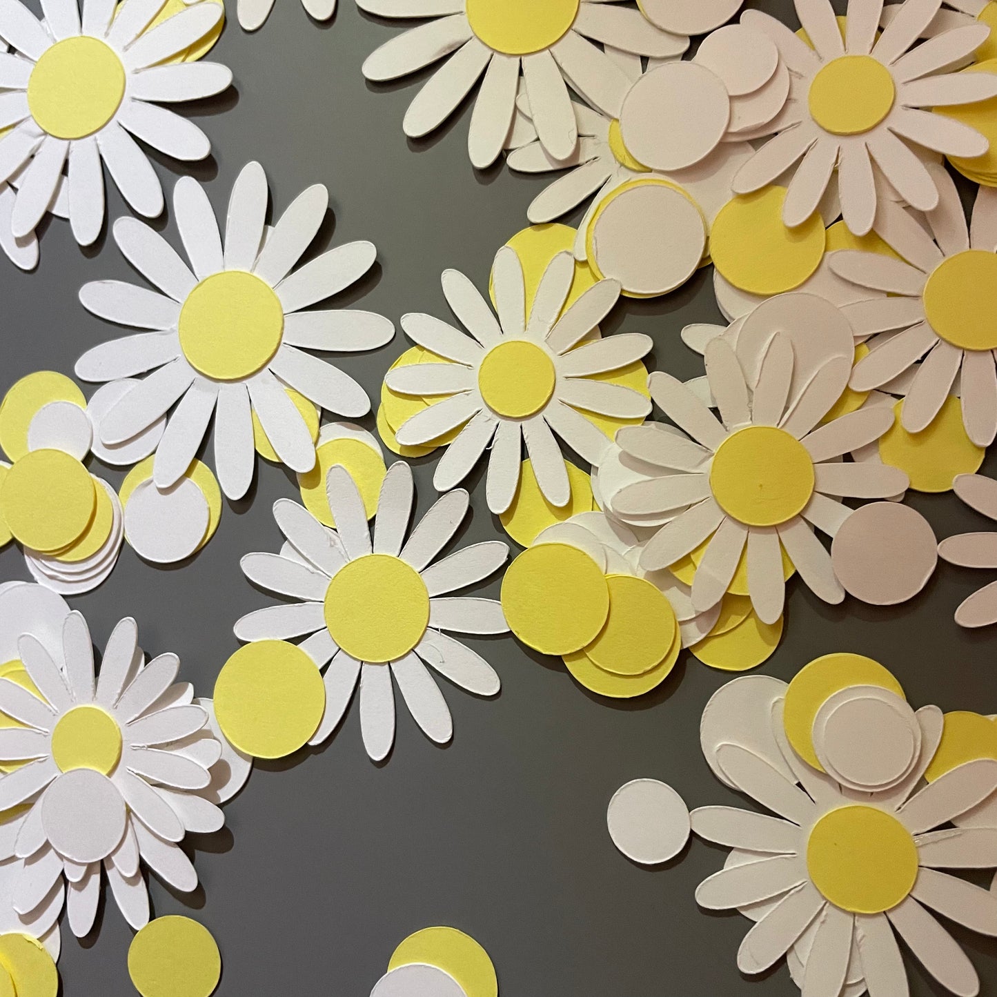 Confettis marguerites 2 options