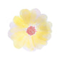 Assiettes fleurs petites