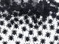 Araignées en confettis