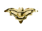 Assiettes chauve-souris (6pc)